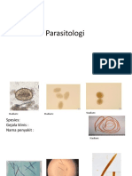 Parasitologi Latihan