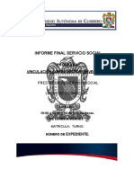 Informe Final Servicio Social