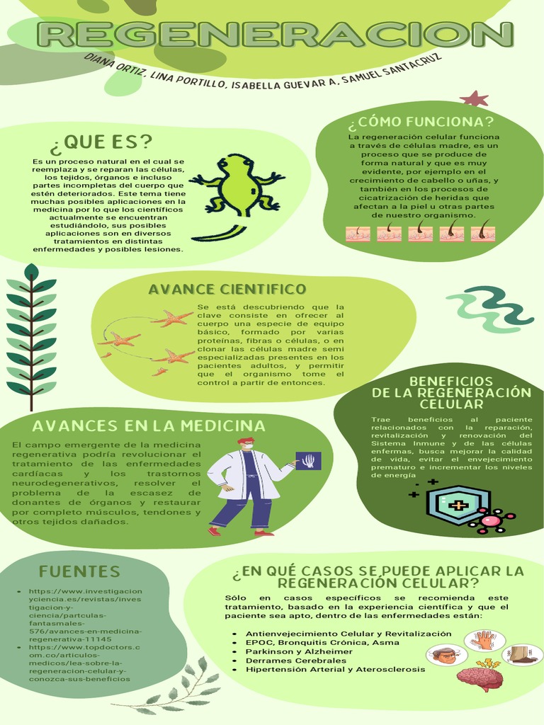 Infografia regeneracion 8 2 descargar gratis pdf regeneraci n