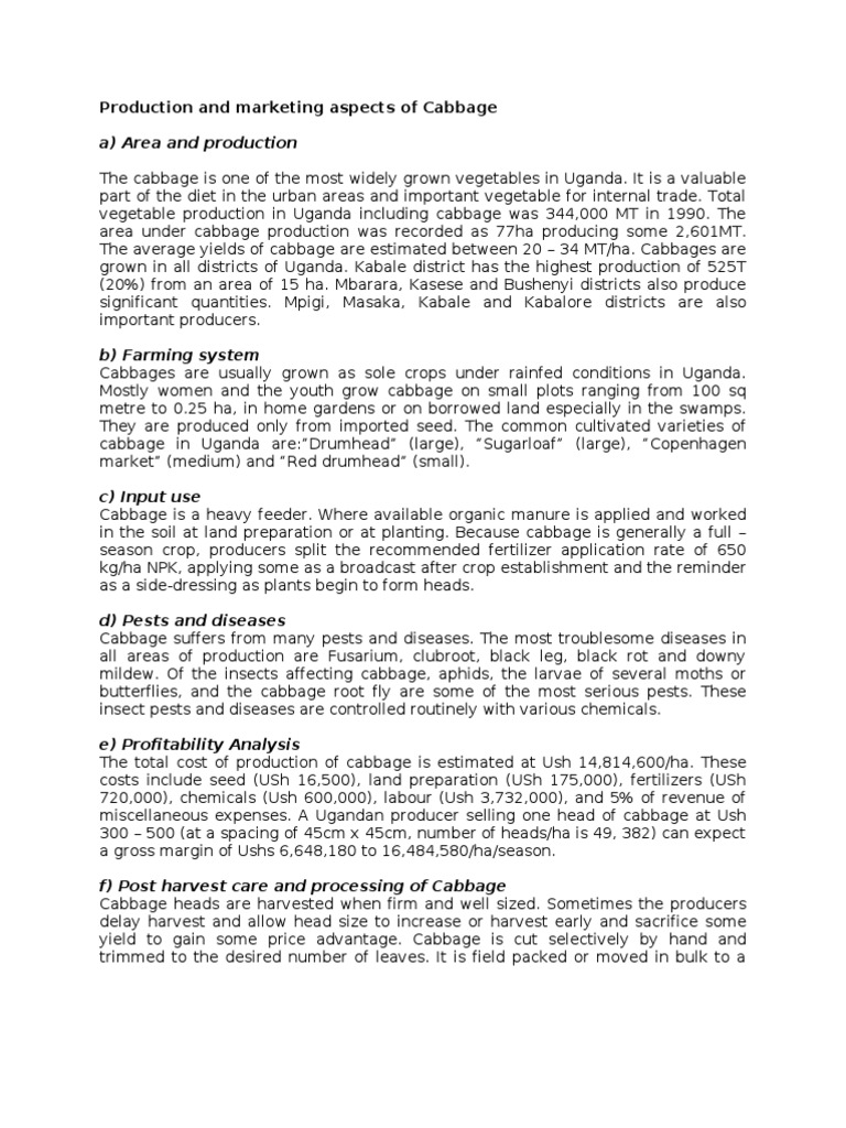 Cabbage Production and Marketing in Uganda | PDF | Cabbage | Retail