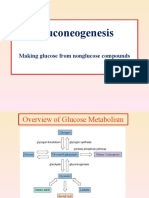 Curs Gluconeogenesis