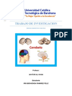 El cerebelo y los procesos cognitivos