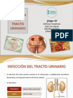 IRP-Infecciones-del-Tracto-Urinario - GRUPO 03
