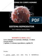 Sistema Reprodutor - Bases Anatomicas