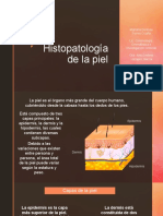 Histopatologia