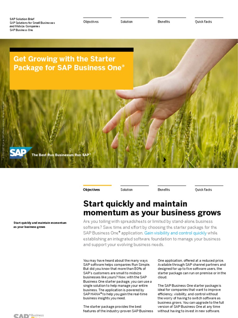 SAP B1 Starter | PDF | Inventory | Business
