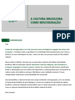Aula 04 - A cultura brasileira como miscigenação