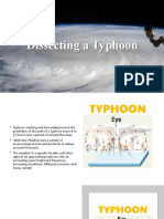 Dissecting A Typhoon