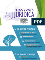 Presentacion Psicologia Juridica