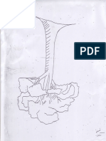PHN.PDF