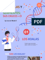 Los Cruces de Mendel, Holis - 3