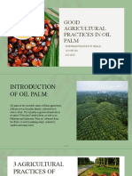 Good Agricultural Practices in Oil Palm