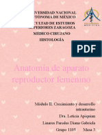 Anatomia Aparato Reproductor Femenino