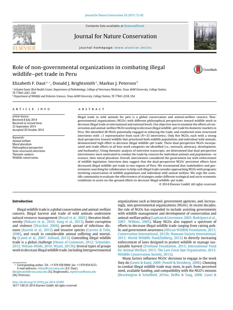Role Of Non Governmental Organizations Pdf