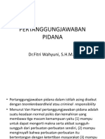 Pertanggungjawaban Pidana