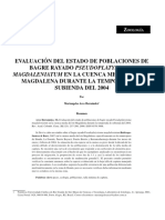 Evaluación Del Estado de Poblaciones de Bagre Rayado Pseudoplatystoma Magdalena Durante La Temporada de Subienda Del 2004