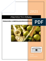 Proyecto Final Sidra