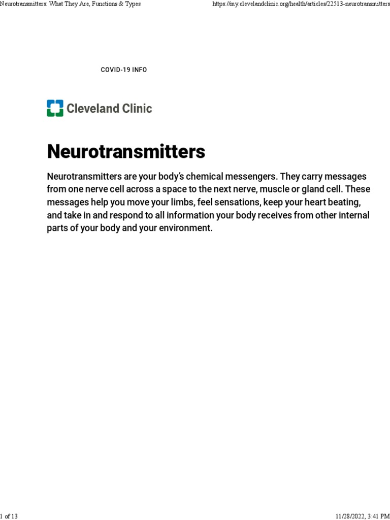 Neurotransmitters what they are functions types pdf