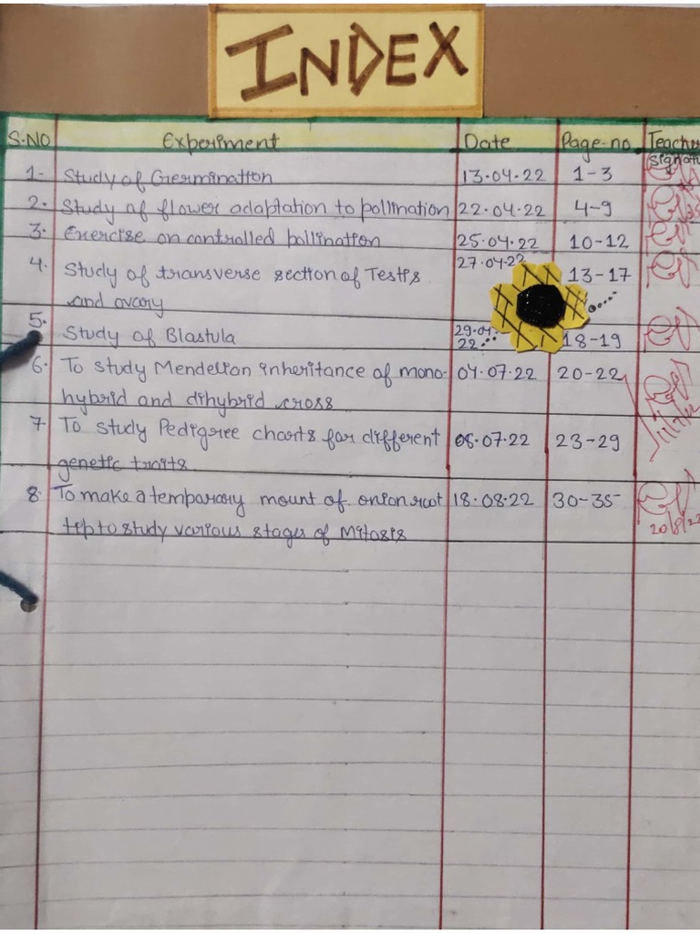 Temporary mount of onion root tip to study mitosis pdf