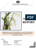 Project Report Rice
