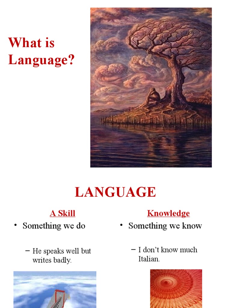 Building visual data 6