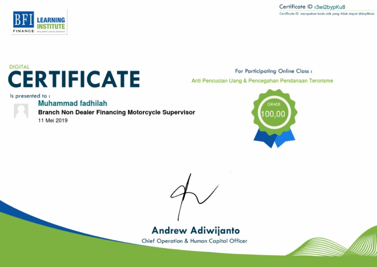 E Certificate APU PDF