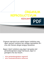 Organum Reproductivum