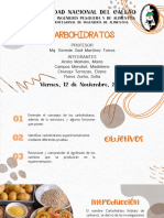 5° Informe - Carbohidratos