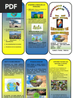 Triptico Medio Ambiente