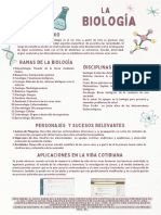 Infografía Reglas de Experimento Química Doodle Ilustrado Verde y Rosa Pastel (21 × 29.7 CM) (21 × 31 CM)