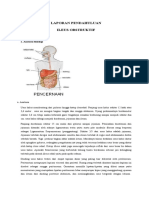 LP Ileus