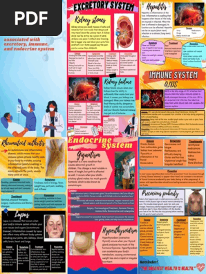 pamphlet