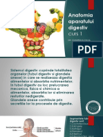 1-Anatomia Aparatului Digestiv - Curs 1 - Modulul 1