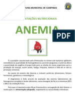 Orientacoes Nutricionais Anemia