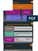 Xhema Atas Indikasi