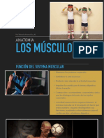 Anatomia Clase 4 - Musculos
