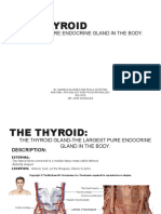 Thyroid Final