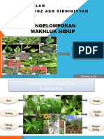 Pengelompokan Tumbuhan