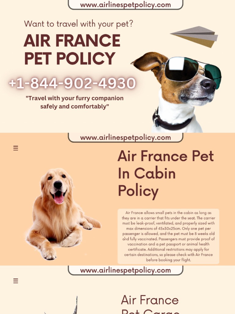 Air France Pet Policy PDF
