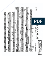 Islas Canarias Oboe