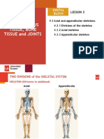 A&p I. Unit 4.3 The Skeletal System 19-20