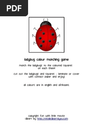 Ladybug Colour Game