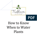 How to Know When to Water Plants