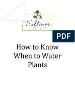 How To Know When To Water Plants