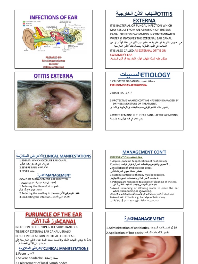 20Ear Disorders PDF Medical Specialties Diseases And Disorders