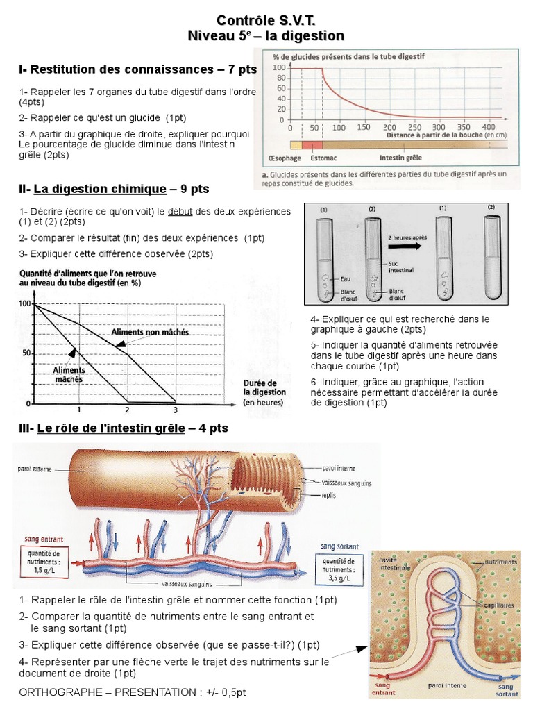 Rôle de l'intestin grêle en digestion | PDF | Méthodes et références ...
