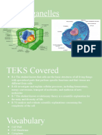 Cell Organelles Notes