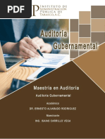 Normas de Auditoría Gubernamental en México | PDF | Auditoría | Contralor