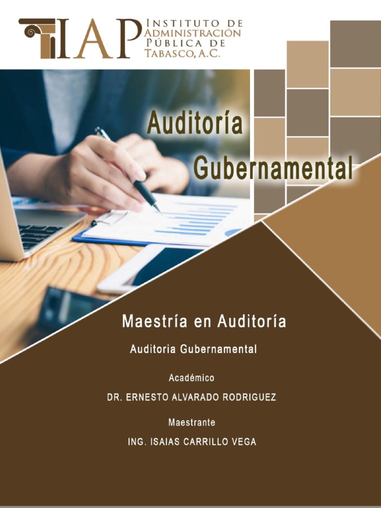 Guía de Auditoría Gubernamental | PDF | Auditoría | Gobierno