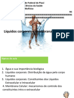 Distribuição de líquidos no corpo